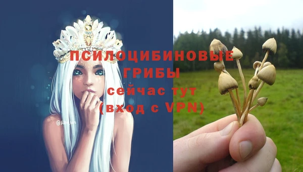соль курить ск Алексеевка