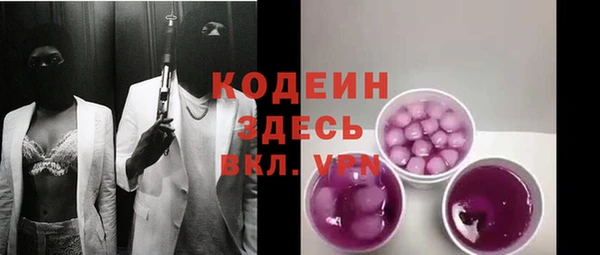 хмурый Абаза