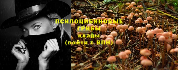 хмурый Абаза