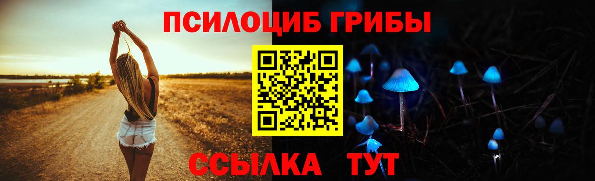 Галлюциногенные грибы Psilocybine cubensis  Вход с VPN  Мегион 
